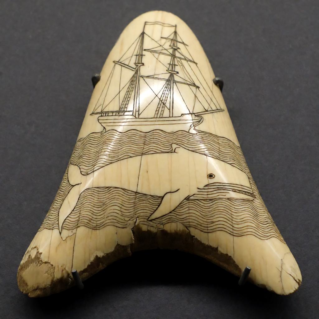 Carved whale tooth with a scrimshaw scene of a ship and a whale